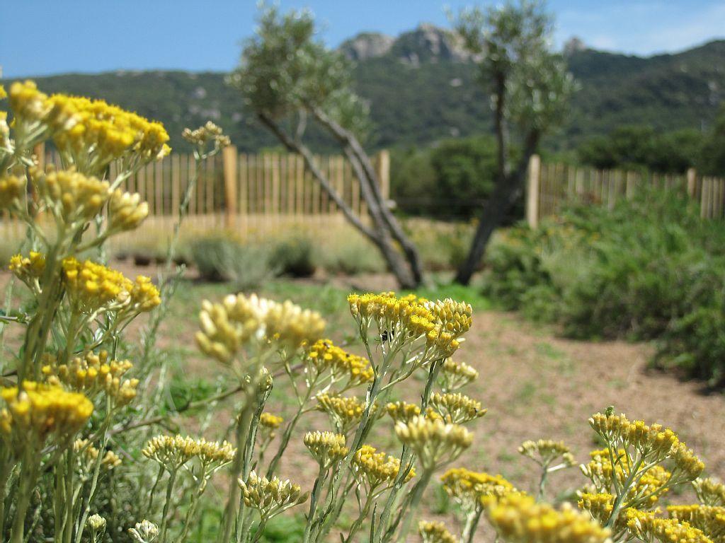 Clos Simoni Figari  Exterior photo